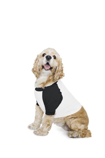 DOG POLY-COTTON 3/4 SLEEVE RAGLAN T-SHIRT